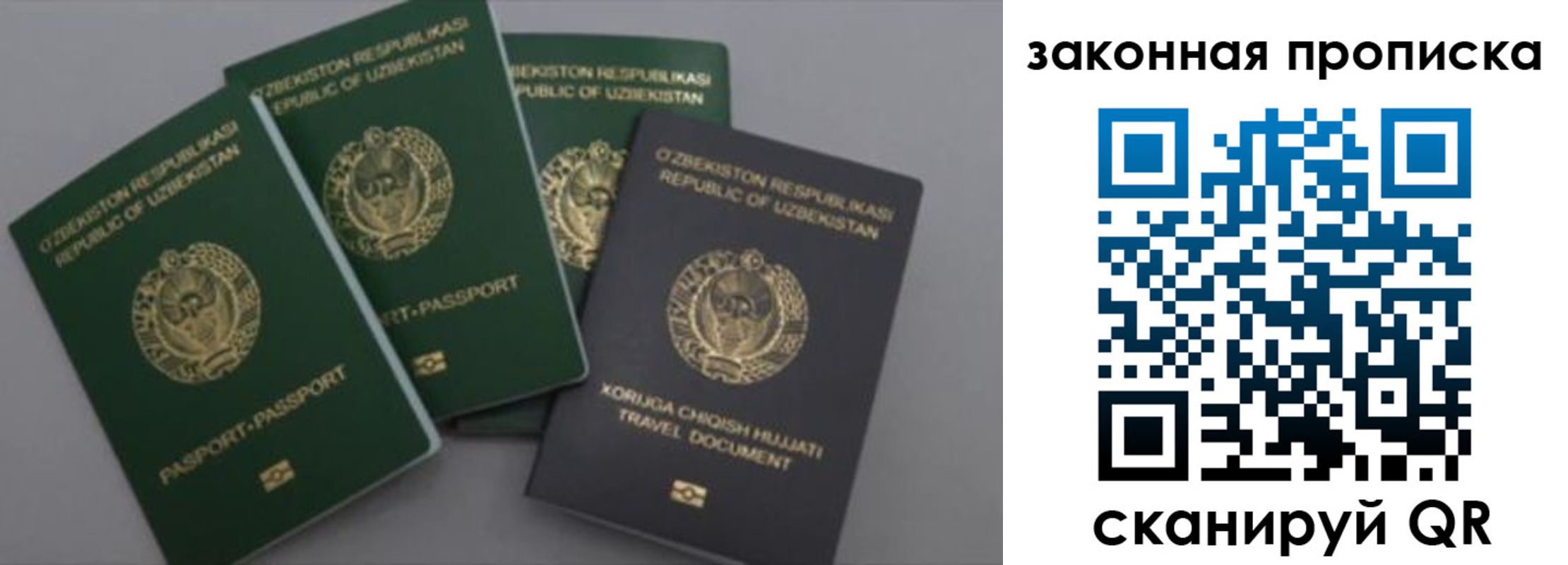 прописка законно в Дубовке